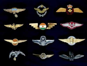 Collection of military wing images