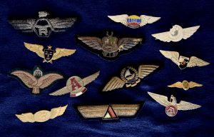 Collection of other pilot wings.